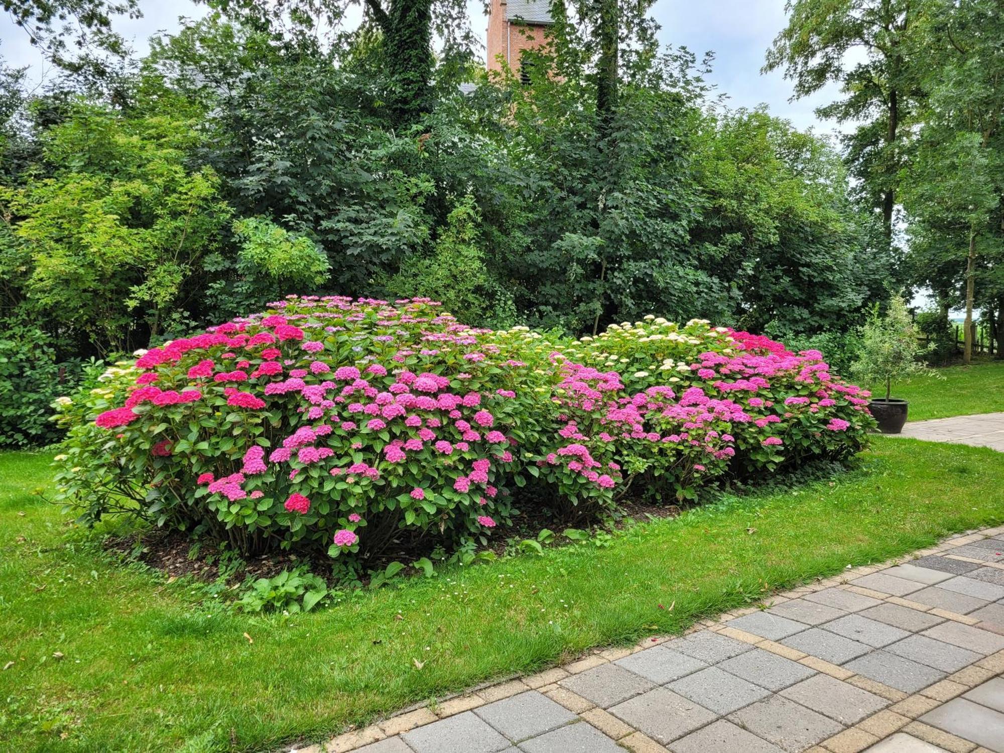 Bed and Breakfast Pastorie Waaxens Экстерьер фото